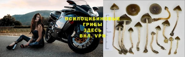ALPHA PVP Баксан