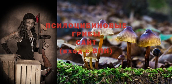 эйфоретик Аркадак