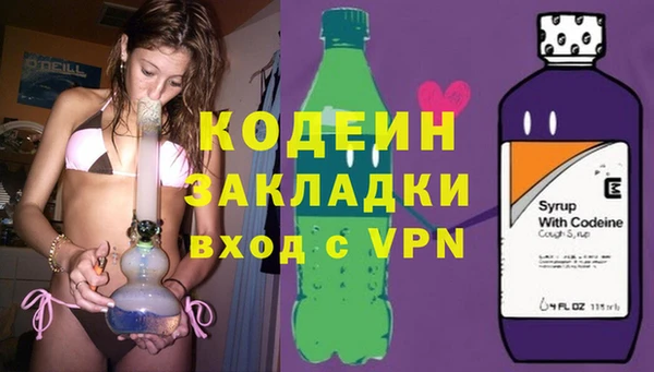 гашик Алзамай