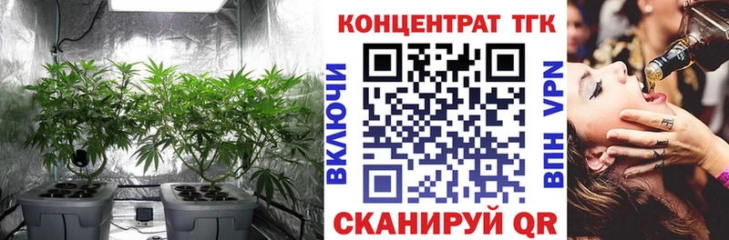 наркошоп  Дно  ТГК THC oil 
